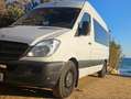 Mercedes-Benz Sprinter Sprinter 316 CDI SHD 3,5t / 3.665 mm Weiß - thumbnail 1