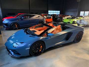 S Roadster SPECIAL COLOR/ONE OF ONE
