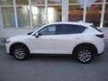 Mazda CX-5 CD150 AWD Attraction Blau - thumbnail 18