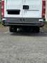 Iveco Daily 35 C 12 DPF - thumbnail 2