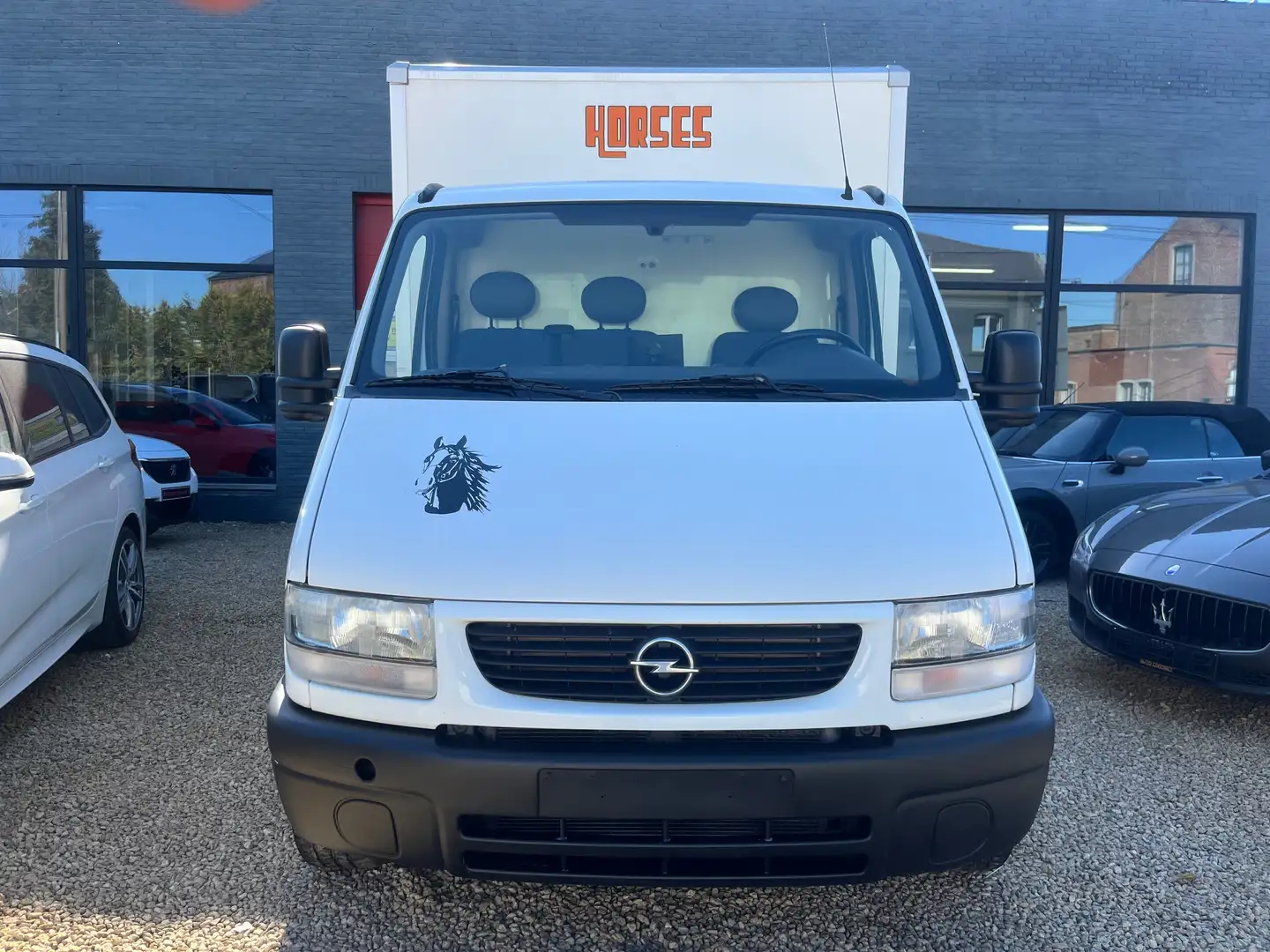 Opel MOVANO * VAN * CHEVAUX * CAVALIER * 2 CHEVAUX * Blanc - 2