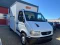 Opel MOVANO * VAN * CHEVAUX *  CAVALIER * 2 CHEVAUX * Blanc - thumbnail 4
