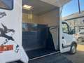 Opel MOVANO * VAN * CHEVAUX *  CAVALIER * 2 CHEVAUX * Blanc - thumbnail 23