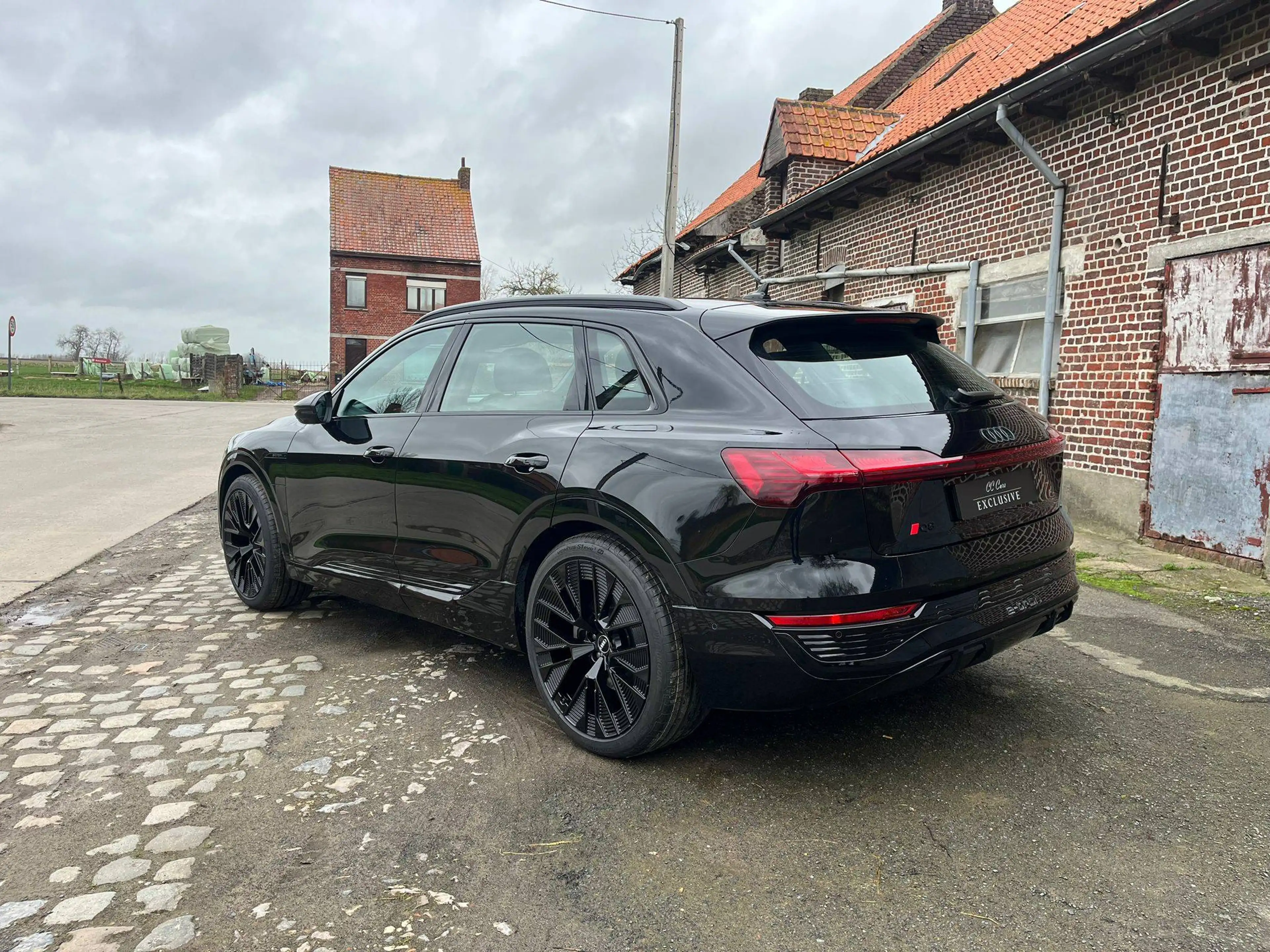 Audi Q8 e-tron 50 quattro S line | Pack Assistance Plus | Head-Up — photo 4