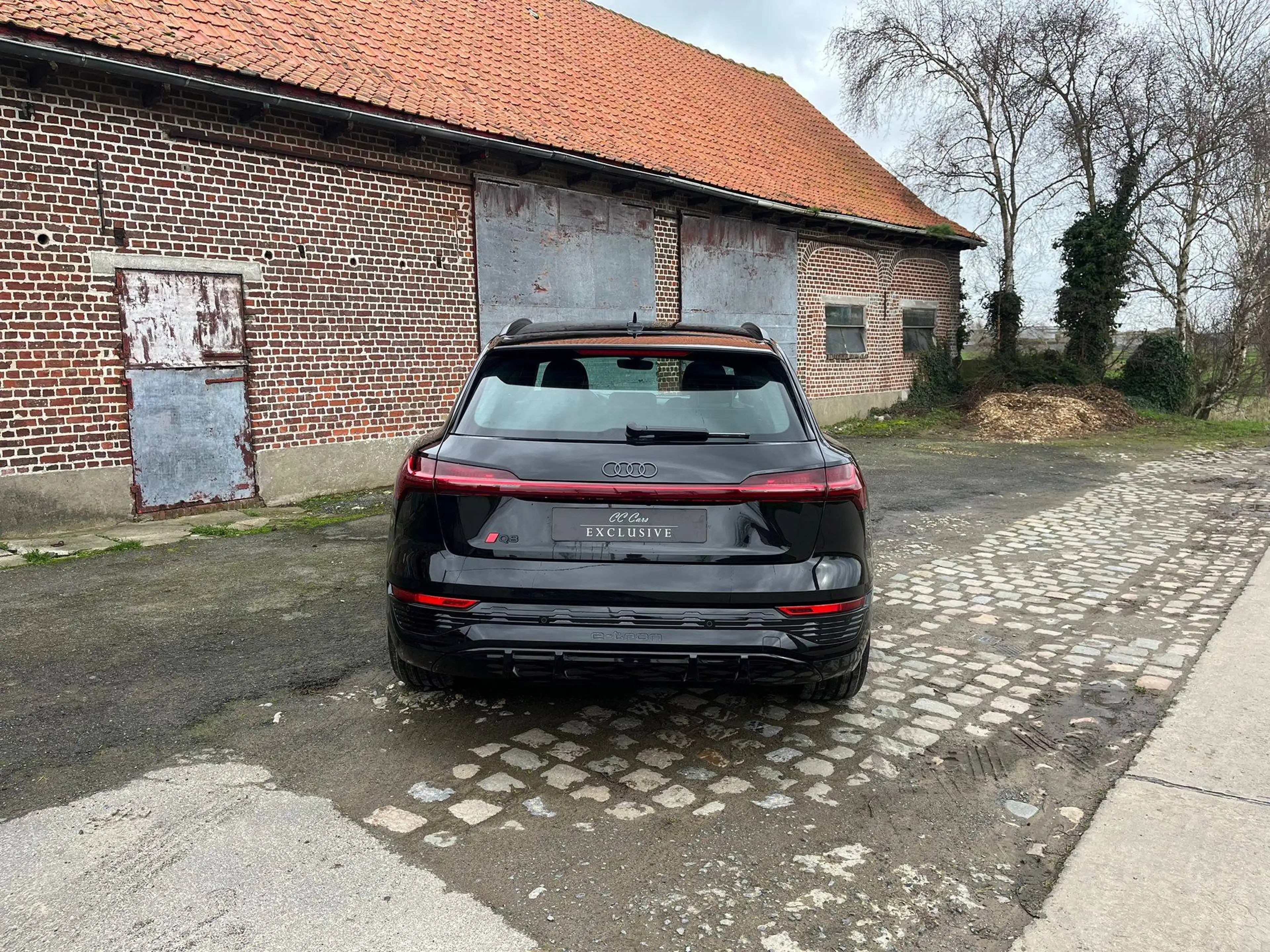 Audi Q8 e-tron 50 quattro S line | Pack Assistance Plus | Head-Up — photo 5