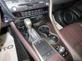 Lexus RX 450h Hybrid Luxury Bílá - thumbnail 20