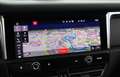 Porsche Macan 2.0 "CON VINCOLO DI FINANZIAMENTO" Grau - thumbnail 12