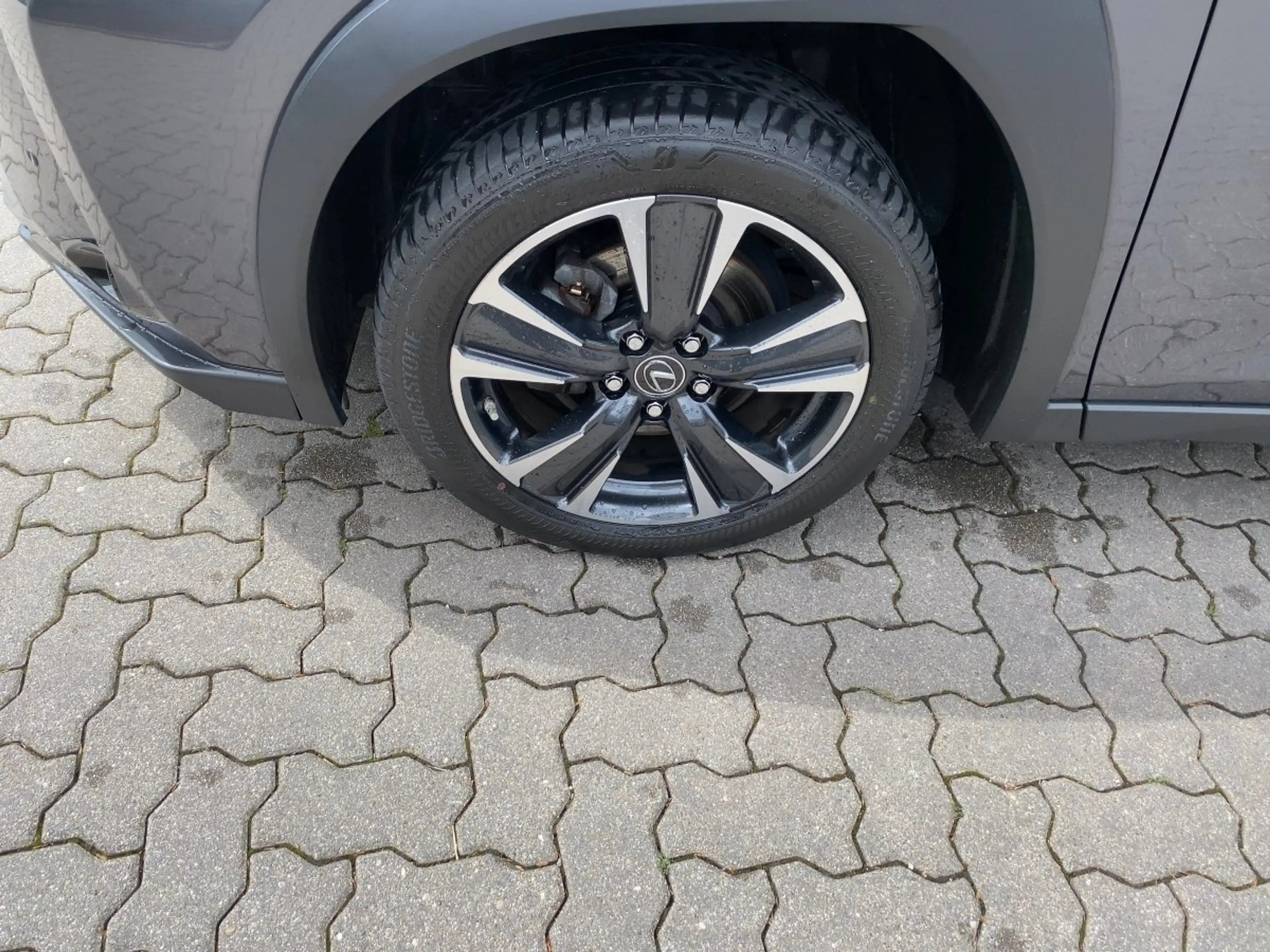 Lexus UX 250h UX 250 h Style Edition zuverlässiger Crossover — photo 8