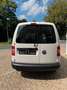 Volkswagen Caddy 1.6 TDI  Kasten EcoProfi BMT Klima 1.Hand Weiß - thumbnail 5