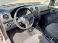 Volkswagen Caddy 1.6 TDI  Kasten EcoProfi BMT Klima 1.Hand Weiß - thumbnail 12