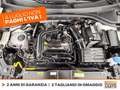 Volkswagen T-Roc 1.0 tsi life 110cv Bianco - thumbnail 13