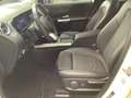 Mercedes-Benz EQA 300 4M Progressive/Advanced/LED/360°K/AHK/ Blanc - thumbnail 8