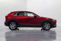 Mazda CX-30 2.0 Skyactiv-G Zenith 2WD 90kW Rojo - thumbnail 7