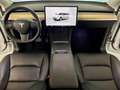 Tesla Model Y RWD - UNIPROP - 300 CV - AUTOPILOT -GARANZIA TESLA Bianco - thumbnail 8