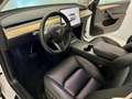Tesla Model Y RWD - UNIPROP - 300 CV - AUTOPILOT -GARANZIA TESLA Bianco - thumbnail 7
