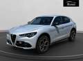 Alfa Romeo Stelvio 2.2 t Veloce Q4 210cv auto Grigio - thumbnail 1