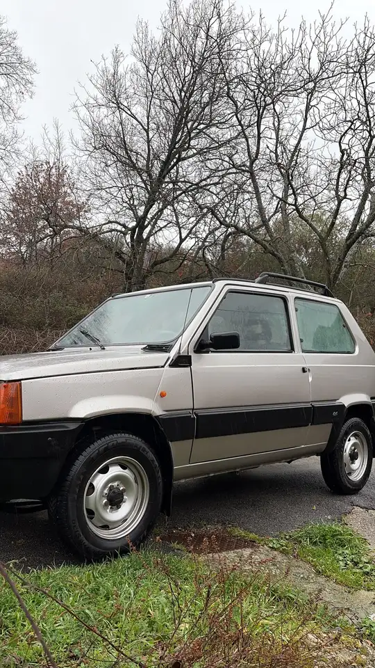 Fiat Panda 1.1 Country Club 4x4 cat., foto 5