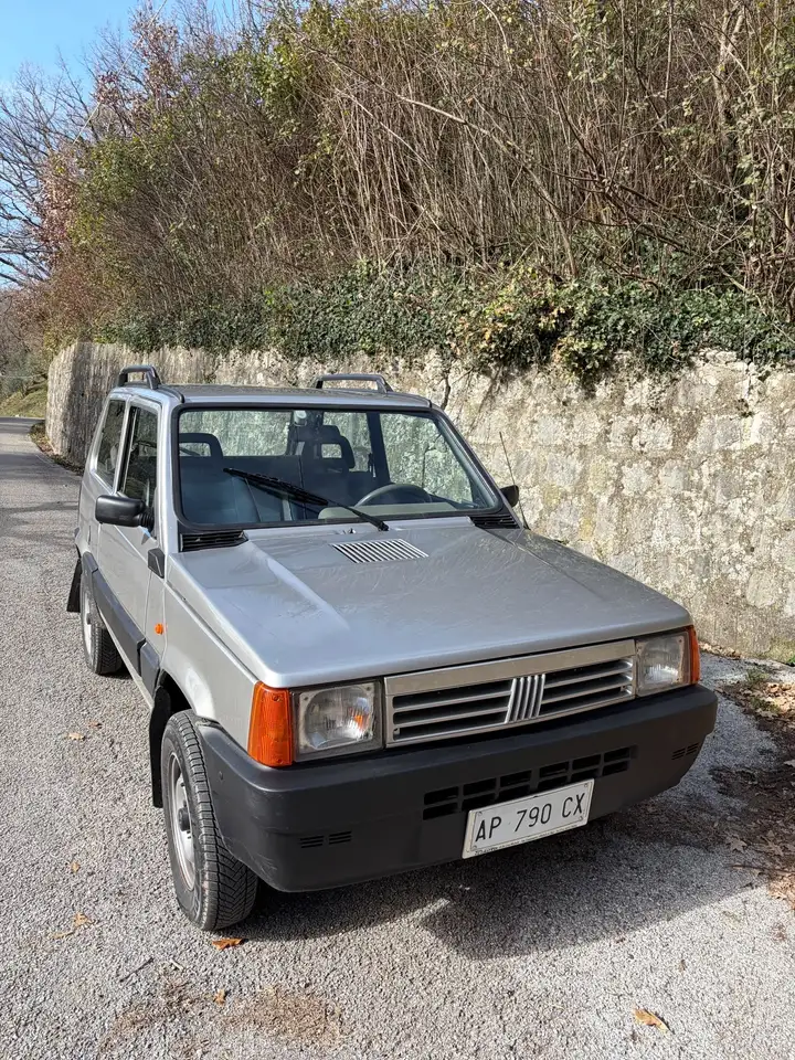 Fiat Panda 1.1 Country Club 4x4 cat., foto 1