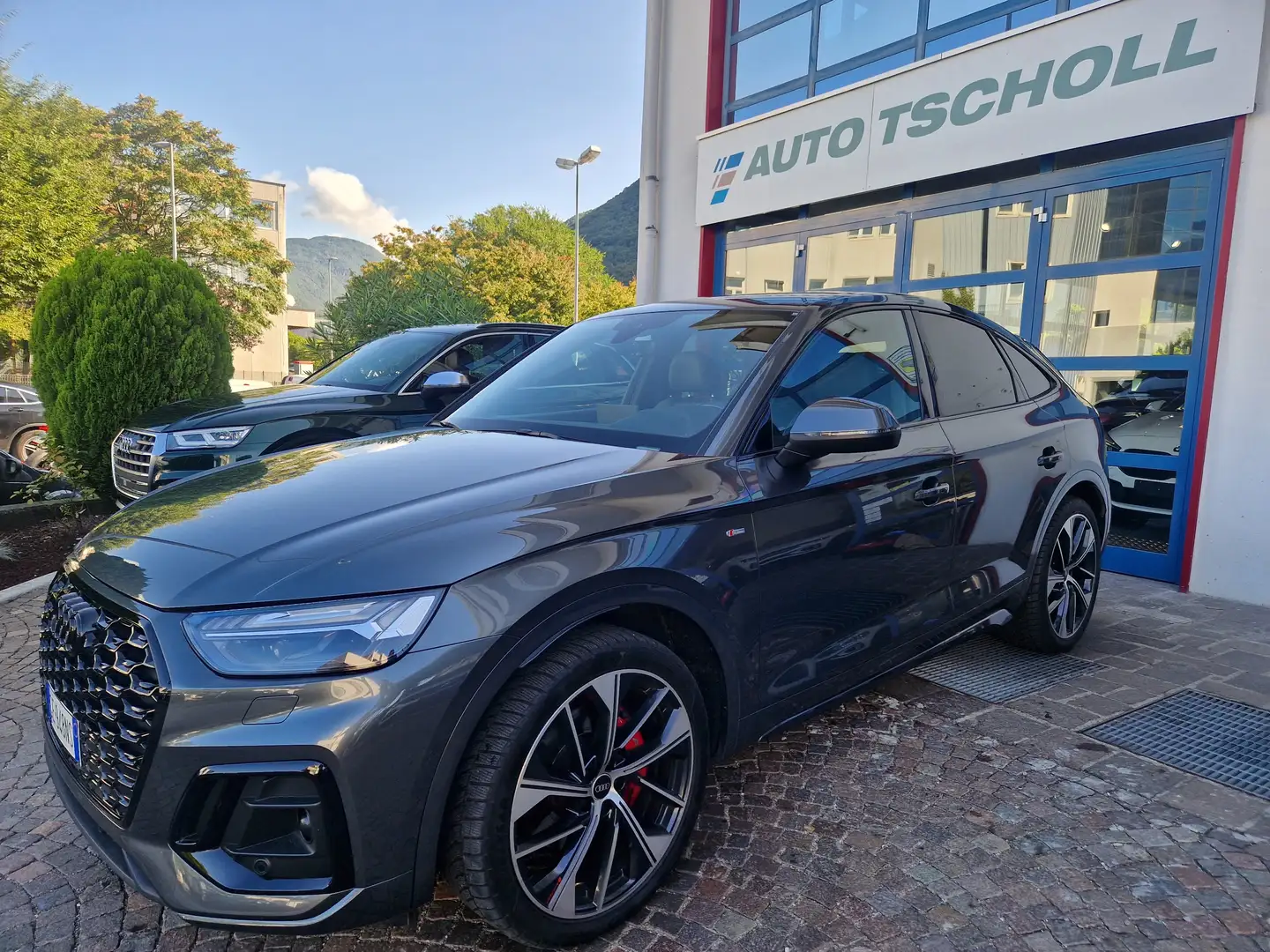 Audi Q5 SPB 50TDI 286Cv quattro S line+Tipt Matrix AirSusp Gris - 1