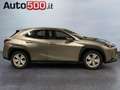 Lexus UX 250h UX Hybrid Business Grau - thumbnail 6