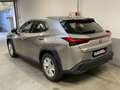 Lexus UX 250h UX Hybrid Business Grigio - thumbnail 6