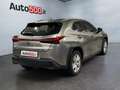 Lexus UX 250h UX Hybrid Business Grau - thumbnail 8