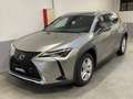 Lexus UX 250h UX Hybrid Business Grigio - thumbnail 3