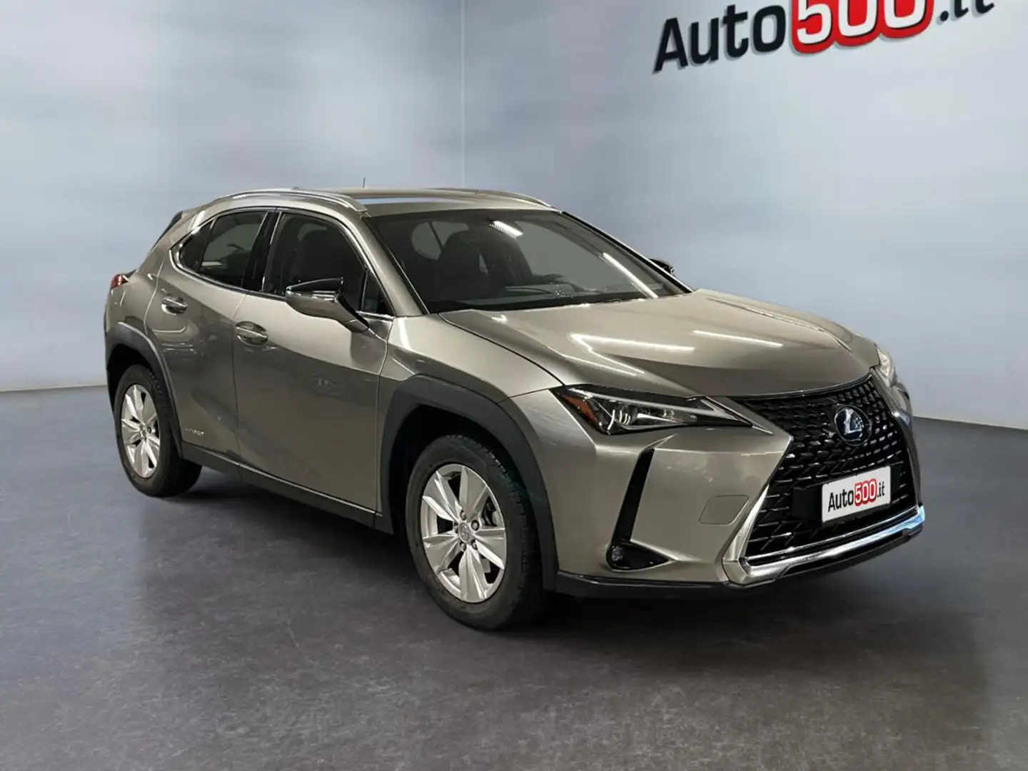 Lexus UX 250h UX Hybrid Business Grau - 2