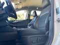 Ford Kuga Kuga 2.0 ecoblue Titanium Business awd 190cv auto Blanco - thumbnail 9