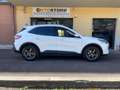 Ford Kuga Kuga 2.0 ecoblue Titanium Business awd 190cv auto Blanco - thumbnail 2