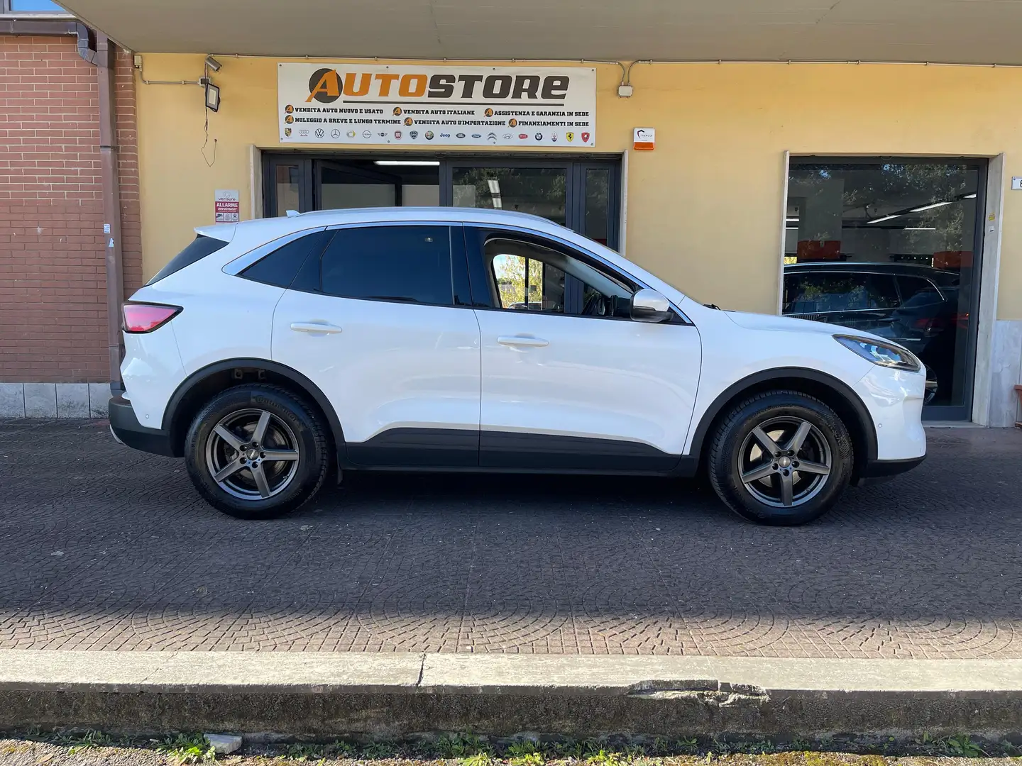 Ford Kuga Kuga 2.0 ecoblue Titanium Business awd 190cv auto Blanco - 2