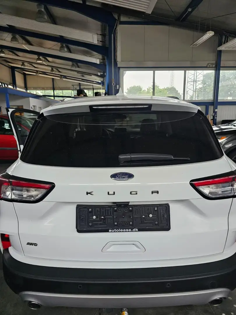 Ford Kuga Kuga 2.0 ecoblue Titanium Business awd 190cv auto bijela - 2