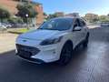 Ford Kuga Kuga 2.0 ecoblue Titanium Business awd 190cv auto Blanco - thumbnail 6