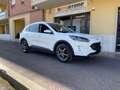 Ford Kuga Kuga 2.0 ecoblue Titanium Business awd 190cv auto Blanco - thumbnail 1