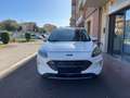 Ford Kuga Kuga 2.0 ecoblue Titanium Business awd 190cv auto Blanco - thumbnail 7