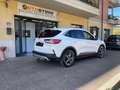 Ford Kuga Kuga 2.0 ecoblue Titanium Business awd 190cv auto Blanco - thumbnail 3