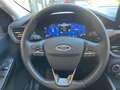 Ford Kuga Kuga 2.0 ecoblue Titanium Business awd 190cv auto Blanco - thumbnail 11