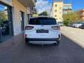 Ford Kuga Kuga 2.0 ecoblue Titanium Business awd 190cv auto Blanco - thumbnail 4