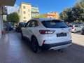 Ford Kuga Kuga 2.0 ecoblue Titanium Business awd 190cv auto Blanco - thumbnail 5