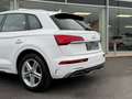 Audi Q5 S-LINE / ZETELVERWARMING / CAMERA / CARPLAY / Blanc - thumbnail 13
