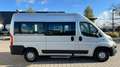 Fiat Ducato Luxusbus Panorama Modular 33 150 L2H2 Gris - thumbnail 6