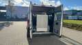 Fiat Ducato Luxusbus Panorama Modular 33 150 L2H2 Gris - thumbnail 12