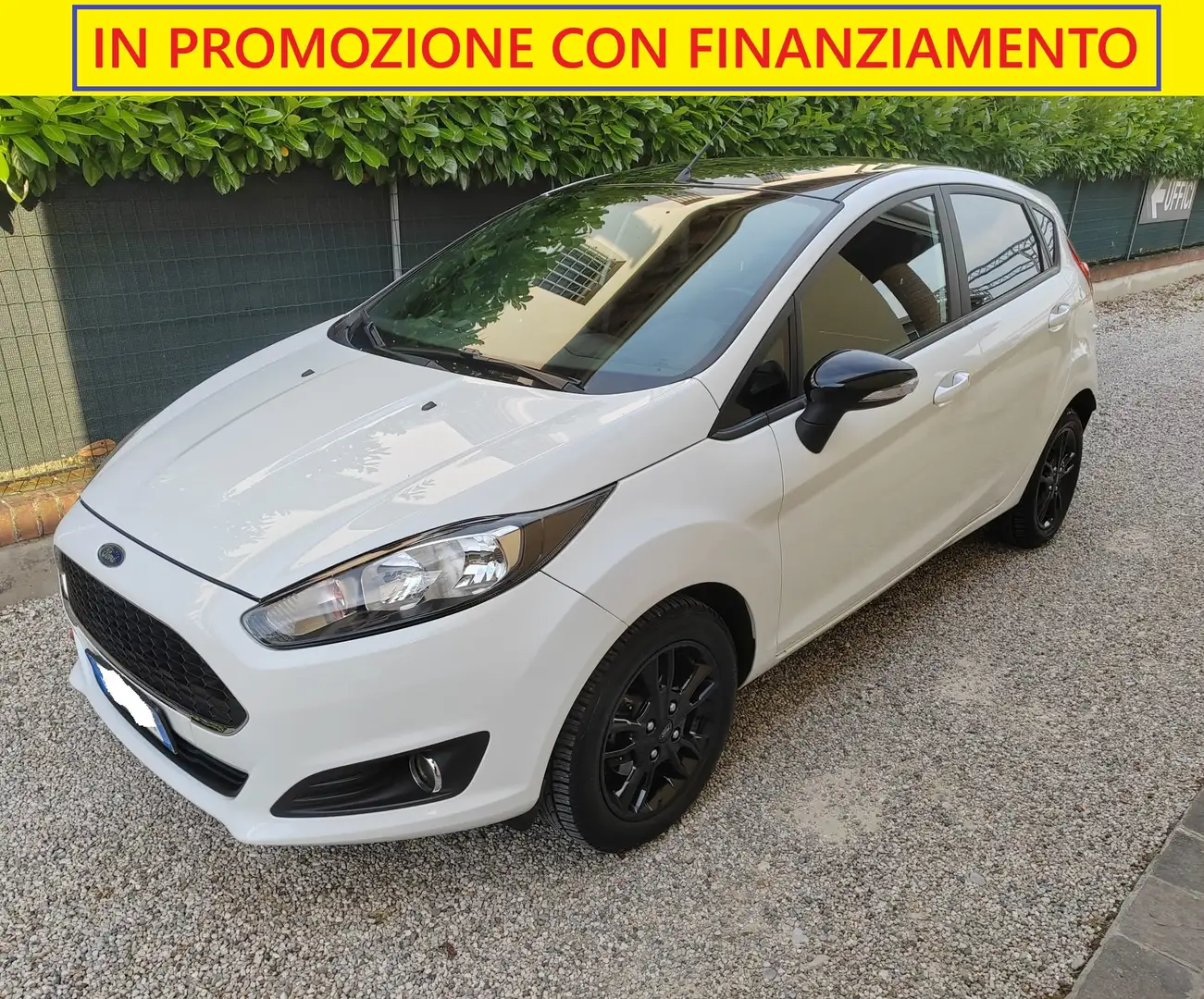 Ford Fiesta Fiesta 5p 1.4 - 1