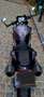 Triumph Speed Triple R Сірий - thumbnail 11