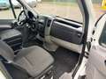 Mercedes-Benz Sprinter 316 CDI L2H2 Inrichting 2800KG Trekhaak Wit - thumbnail 6