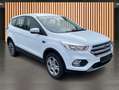 Ford Kuga 1.5 EcoBoost Trend Weiß - thumbnail 6