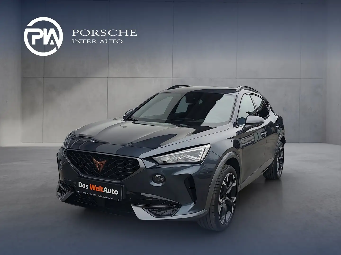 CUPRA Formentor 1.5 TSI 150 PS DSG ACT Grau - 1