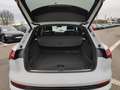 Audi e-tron 50 quattro S-Line, Matrix LED, Pano, AHK, Weiß - thumbnail 13