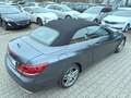 Mercedes-Benz E 200 Cabrio AMG-Sport-Paket VOLLAUSSTATTUNG TOP Grijs - thumbnail 19