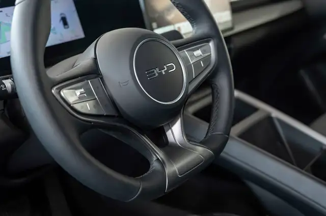 Byd Dolphin view 11